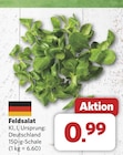 combi Werlte - Feldsalat Angebot im Prospekt Feldsalat bei combi im Werlte Prospekt für 0,99 €