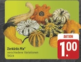 Zierkürbis Mix im Angebot bei E center in Würzburg Zierkürbis Mix Angebote bei E center Würzburg für 1,00 €