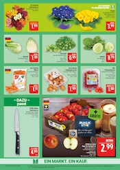 Aktueller Marktkauf Prospekt mit Garten, "AUSWAHL RIESIG, PREISE NIEDRIG", Seite 9