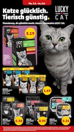 Katzenfutter im Penny Prospekt in Beckum Aktueller Penny Prospekt mit Katzenfutter, "Wer günstig will, muss Penny.", Seite 22