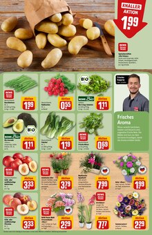 Pflanzen im REWE Prospekt "Dein Markt" mit 28 Seiten (Jena)