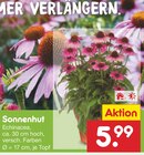 Aktuelles Sonnenhut Angebot bei Netto Marken-Discount in Osnabrück ab 5,99 €