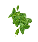 Spinat von Naturland für 1,11 € bei ALDI Nord im Angebot Spinat von Naturland im aktuellen ALDI Nord Prospekt