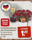 Angebot im nahkauf Wuppertal Prospekt nahkauf Wuppertal Prospekt mit im Angebot für 1,49 €
