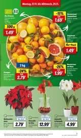 Ähnliche Bio Wassermelone Angebote im Prospekt "LIDL LOHNT SICH" von Lidl Ähnliches Angebot bei Lidl in Prospekt "LIDL LOHNT SICH" gefunden auf Seite 7