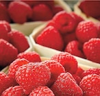 Framboise en promo chez Netto Framboise dans le catalogue Netto