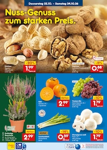 Pflanzen im Netto Marken-Discount Prospekt "Aktuelle Angebote" mit 70 Seiten (Aachen)