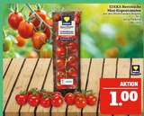 Aktuelle Tomaten Angebote bei Marktkauf in Leipzig Aktuelles Mini-Rispentomaten Angebot bei Marktkauf in Leipzig ab 1,00 €