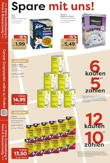 Katzenfutter im Garten-Center Nordharz GmbH & Co. KG Prospekt "Zoo & Co." mit 14 Seiten (Kassel)