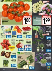 Bio im EDEKA Prospekt in Gießen Aktueller EDEKA Prospekt mit Bio, "Aktuelle Angebote", Seite 5