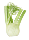 EDEKA - Fenchel Angebot im Prospekt Fenchel bei EDEKA im Prospekt "" für 3,49 €