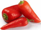 GLOBUS - Mini-Snackpaprika „Sweet" rot Angebot im Prospekt Mini-Snackpaprika „Sweet" rot bei GLOBUS im Prospekt "" für