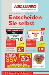 Hellweg Prospekt für Chemnitz: "Die Profi-Baumärkte", 20 Seiten, 05.08.2024 - 10.08.2024