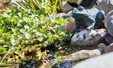 Teichfigur 'Frosch' Angebote bei Hornbach Menden für 79,99 €