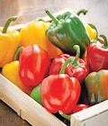 Promo Poivron tricolore à 1,59 € dans le catalogue Intermarché à Vienne