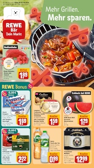 REWE Helmbrechts Prospekt der aktuellen Woche, gültig von 03.08.2026 bis 08.08.2026 Aktueller REWE Helmbrechts Prospekt "Dein Markt" mit 30 Seiten