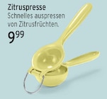 Zitruspresse im aktuellen E center Prospekt