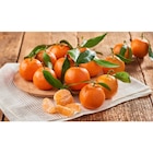 Mandarine en promo chez Carrefour Mandarine dans le catalogue Carrefour