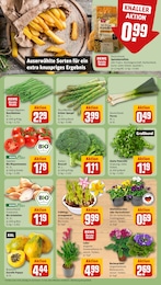 REWE Gruener Spargel im Prospekt 