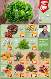 Balkonpflanzen im REWE Prospekt Balkonpflanzen im REWE Prospekt "Dein Markt" auf Seite 7