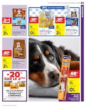 Croquettes Chien Angebote im Prospekt "PLATS D’HIVER" von Carrefour Market Croquettes Chien Angebote im Prospekt "PLATS D’HIVER" von Carrefour Market auf Seite 35