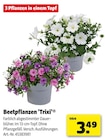 Hagebaumarkt Hörstel Prospekt mit  im Angebot für 3,49 €
