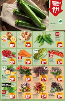 Hibiskus im REWE Prospekt "Dein Markt" mit 34 Seiten (Frankfurt (Main))