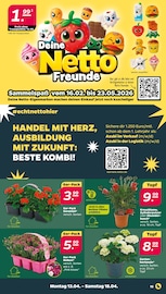 Treuepunkte Angebote im Prospekt "Günstig. Besser. Für Dich." von Netto mit dem Scottie auf Seite 19