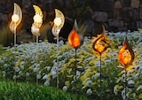 LED-Solarleuchte von CASAYA für 3,49 € bei Hagebaumarkt im Angebot LED-Solarleuchte von CASAYA im aktuellen Hagebaumarkt Prospekt