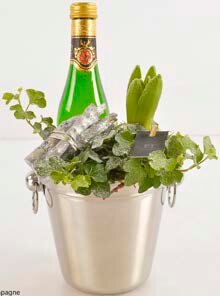 Silvester-Arrangement bei Knauber in Brühl Silvester-Arrangement im Angebot bei Knauber Brühl für 9,99 €