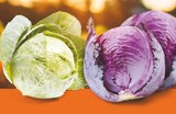 Rotkohl im Netto Marken-Discount Prospekt Rotkohl von Heimat im aktuellen Netto Marken-Discount Prospekt für 0,89 €