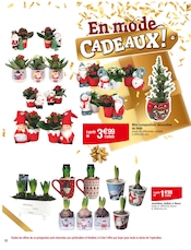 Jardinage Angebote im Prospekt "JOYEUX NOËL & MEILLEURS PRIX" von Carrefour auf Seite 22