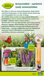 Gesundheit Angebot & Preis im aktuellen Pflanzen Kölle Prospekt Gesundheit Angebot im aktuellen Pflanzen Kölle Prospekt auf Seite 13