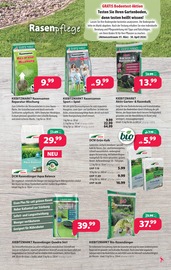 Saatgut im Kiebitzmarkt Prospekt in Cottbus Aktueller Kiebitzmarkt Prospekt mit Saatgut, "Es geht wieder los. Die Anzucht beginnt!", Seite 3