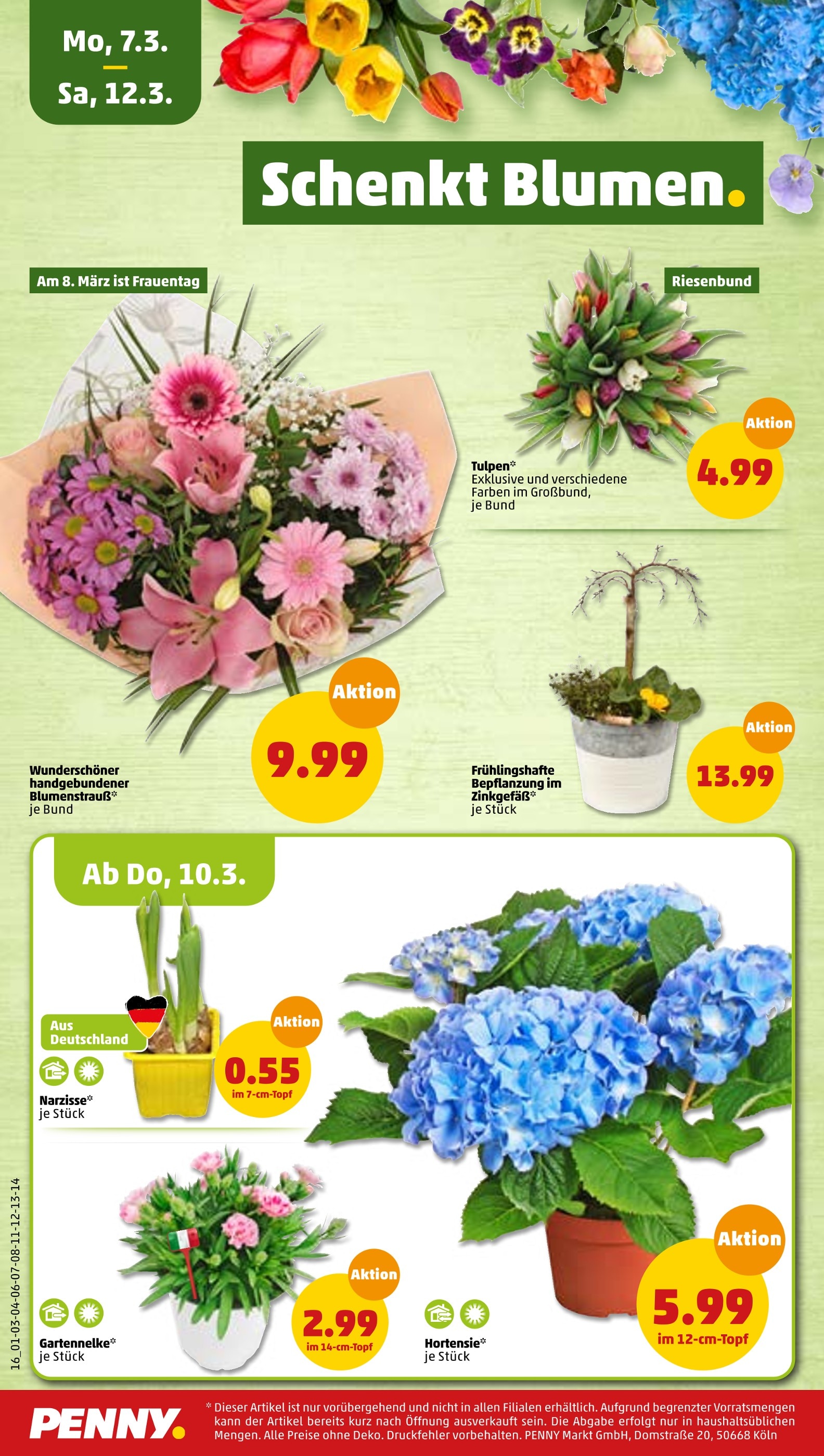 PennyMarkt Blumen Angebot ᐅ Finde den Preis im aktuellen Prospekt