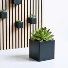 AKUSTIKPANEEL-ZUBEHÖR Schwarz 6,5/6,5/6,5 cm von XXXLutz im aktuellen XXXLutz Prospekt für 16,50 €