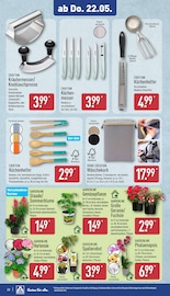 Hortensie im ALDI Nord Prospekt in Plauen Aktueller ALDI Nord Prospekt mit Hortensie, "Aktuelle Angebote", Seite 26