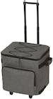 Kühltrolley im Angebot bei Penny in Frankenthal Kühltrolley Angebote von HEDURA bei Penny Frankenthal für 19,99 €