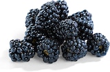 Brombeeren von Driscoll's für 1,49 € bei Netto Marken-Discount im Angebot Brombeeren von Driscoll's im aktuellen Netto Marken-Discount Prospekt