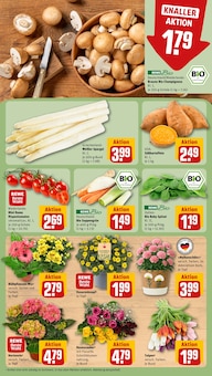 Spargel im aktuellen REWE Prospekt (Berlin) Spargel im REWE Prospekt "Dein Markt" mit 24 Seiten (Berlin)