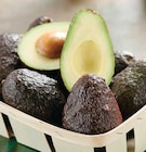 Avocat affiné à 1,79 € dans le catalogue Netto