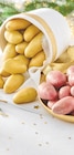 Promo Pommes de terre de consommation à chair ferme à 1,59 € dans le catalogue Intermarché Super à Ueberkumen