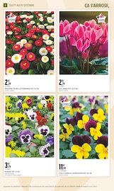 Fleurs Angebote im Prospekt "JARDIN D'AUTOMNE" von Intermarché auf Seite 2
