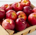 Nectarine blanche et/ou jaune en promo chez Netto Nectarine blanche et/ou jaune dans le catalogue Netto
