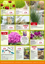 Hortensie im PROFI Wesch Prospekt in Eisenach Aktueller PROFI Wesch Prospekt mit Hortensie, "KOMPETENT. PERSÖNLICH. REGIONAL.", Seite 5