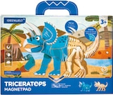 Magnetbuch Angebote von Ideenwelt bei Rossmann Jena für 7,99 €