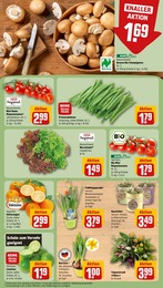 Pflanzen Angebot & Preis im aktuellen REWE Prospekt Pflanzen Angebot im aktuellen REWE Prospekt auf Seite 9