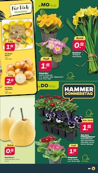 Pflanzen im aktuellen Netto mit dem Scottie Prospekt (Chemnitz) Pflanzen im Netto mit dem Scottie Prospekt "Günstig. Besser. Für Dich." mit 40 Seiten (Chemnitz)