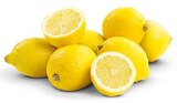 Bio Zitrone Angebote von REWE Bio bei REWE Schwerte für 0,69 €