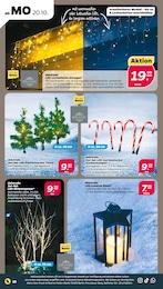 Laterne Angebot & Preis im aktuellen Netto mit dem Scottie Prospekt Laterne Angebot im aktuellen Netto mit dem Scottie Prospekt auf Seite 22